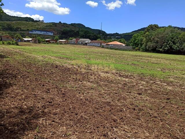 #58739632 - Área para Venda em Vargem - SC - 1