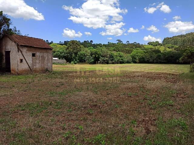 Área para Venda em Vargem - 4