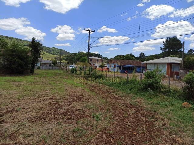 Área para Venda em Vargem - 5