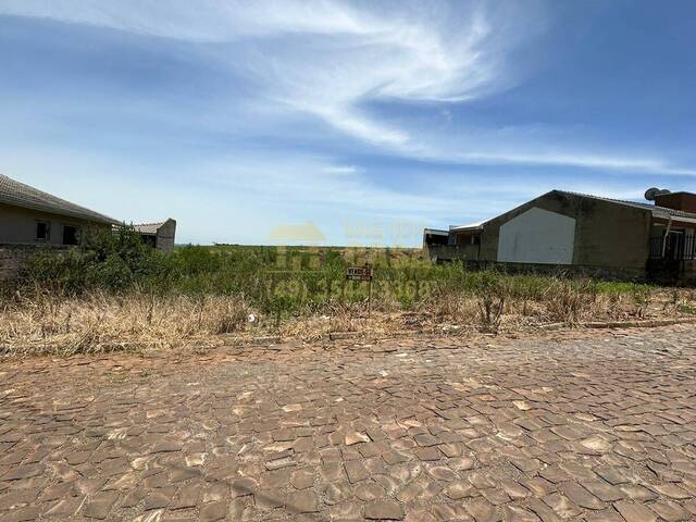 #58739637 - Área para Venda em Campos Novos - SC - 3