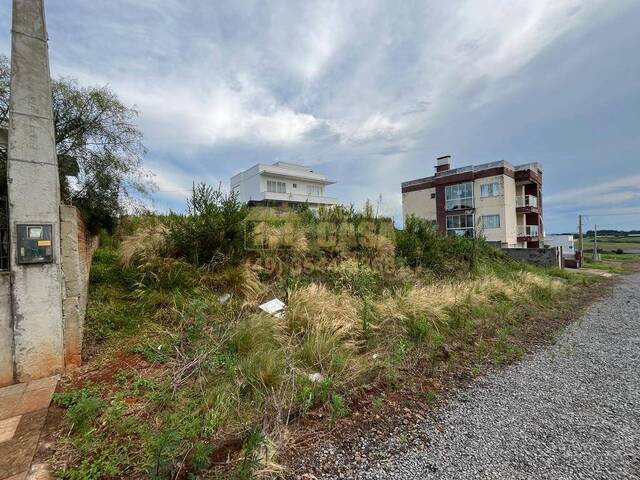 Área para Venda em Campos Novos - 5