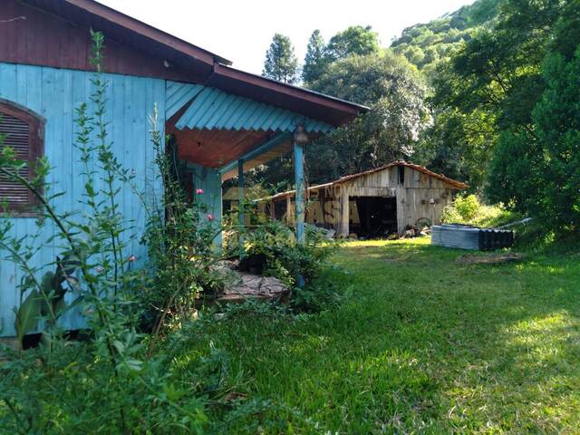 Chácara para Venda em Abdon Batista - 4