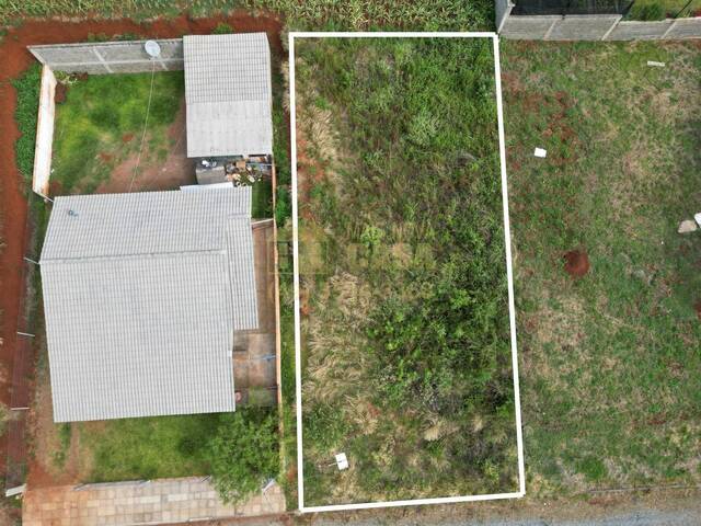 Área para Venda em Campos Novos - 2
