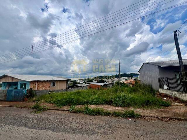 Área para Venda em Campos Novos - 4