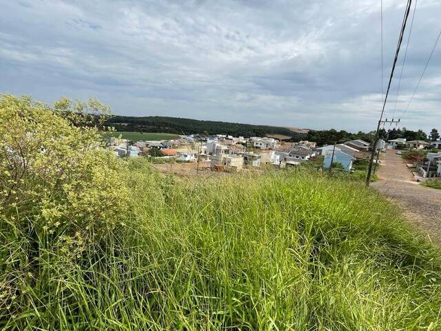 #58739690 - Área para Venda em Campos Novos - SC - 3