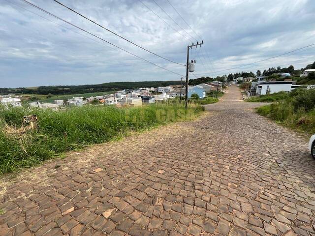 Área para Venda em Campos Novos - 4