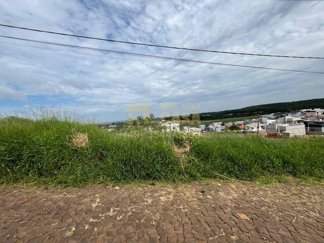 Área para Venda em Campos Novos - 5