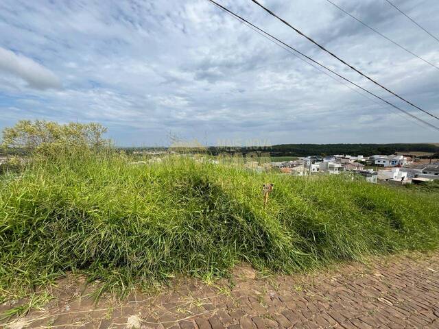 Área para Venda em Campos Novos - 4