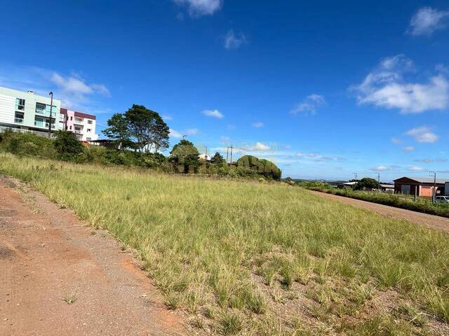 #58739702 - Área para Venda em Campos Novos - SC - 2