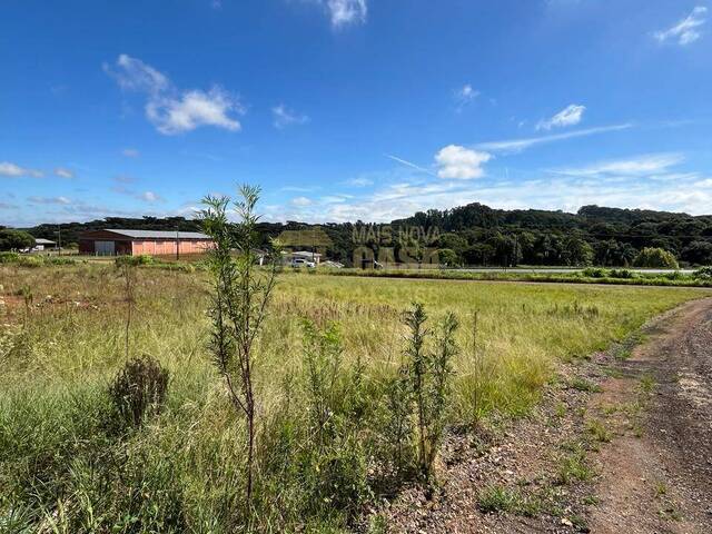 #58739702 - Área para Venda em Campos Novos - SC - 3