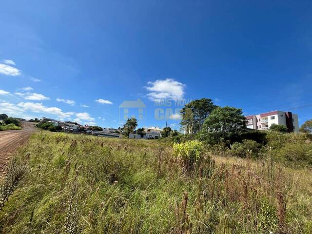 Área para Venda em Campos Novos - 4