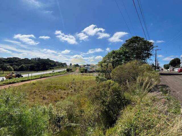 Área para Venda em Campos Novos - 5