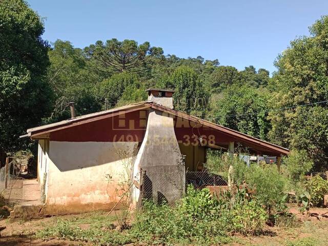 Chácara para Venda em Campos Novos - 4