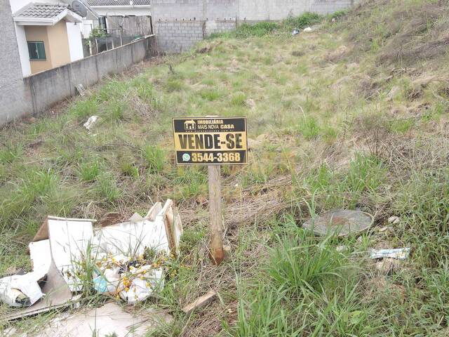 #58739731 - Área para Venda em Campos Novos - SC - 3