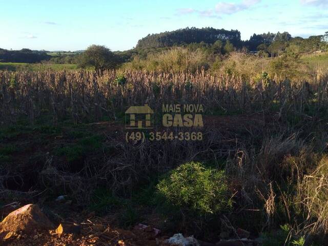 #58739677 - Área para Venda em Monte Carlo - SC