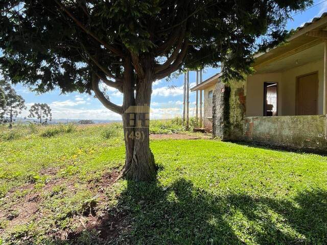 #58739739 - Casa para Locação em Campos Novos - SC - 2