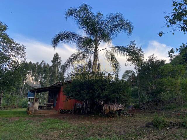 #58739030 - Chácara para Venda em Celso Ramos - SC - 3