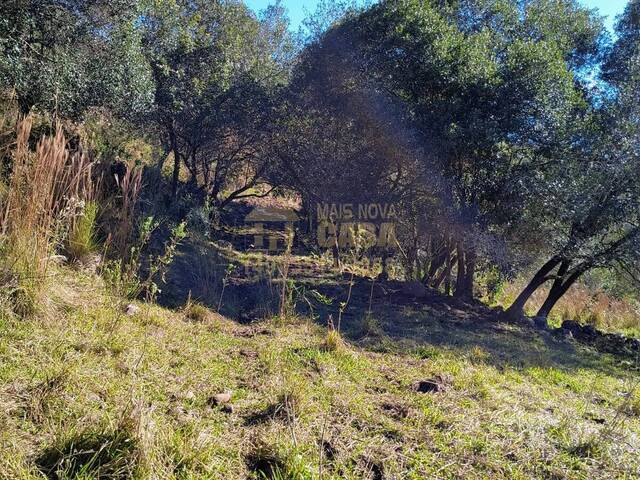 Chácara para Venda em Campos Novos - 4