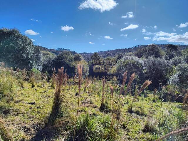 Chácara para Venda em Campos Novos - 5