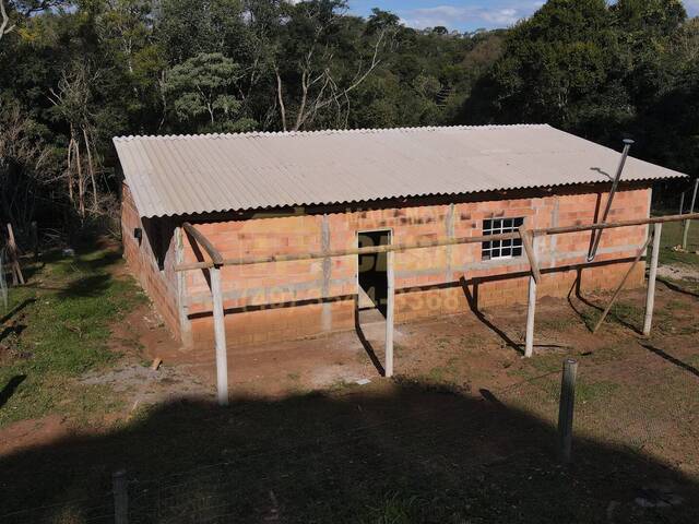  para  em  - 5