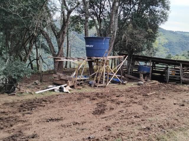 Chácara para Venda em Campos Novos - 4