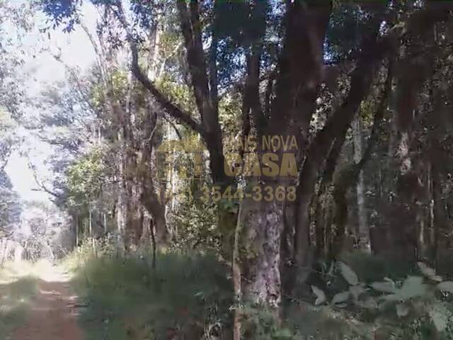 Chácara para Venda em Anita Garibaldi - 5