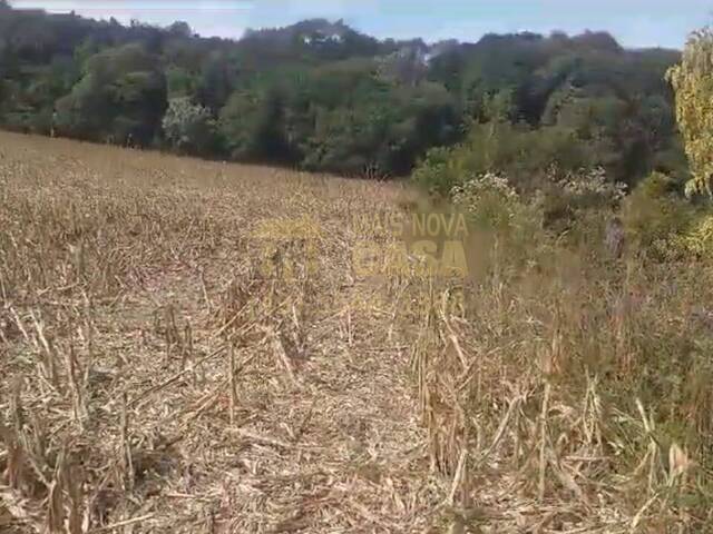 Chácara para Venda em Anita Garibaldi - 4