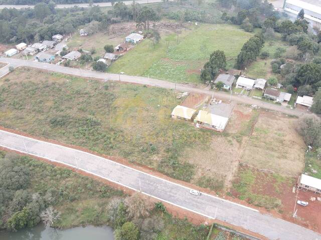 Terreno para Venda em Campos Novos - 5