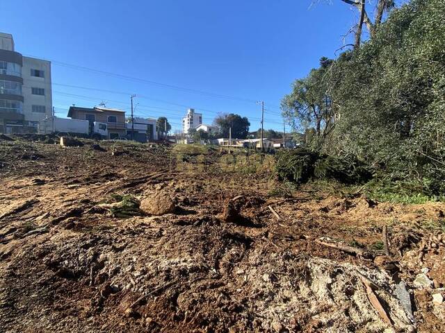 Área para Venda em Campos Novos - 4