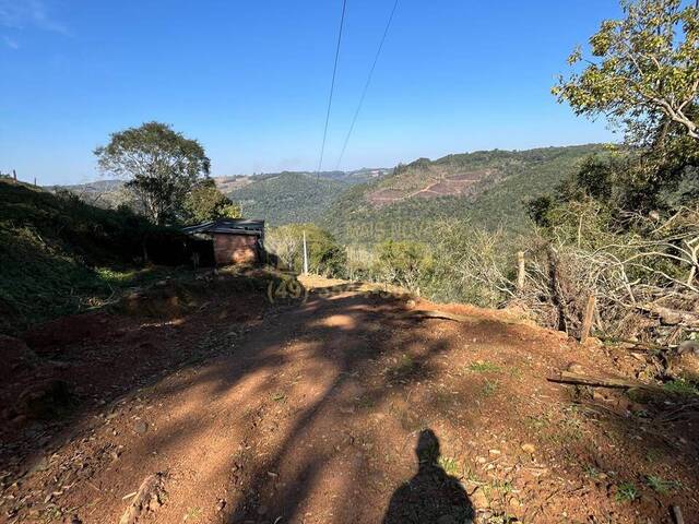 #58739825 - Chácara para Venda em Campos Novos - SC - 1