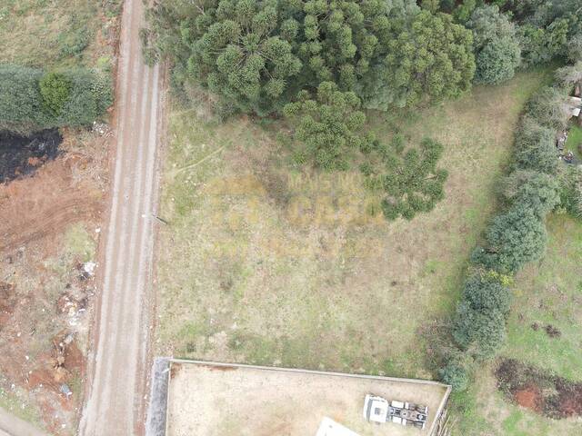 Área para Venda em Campos Novos - 4