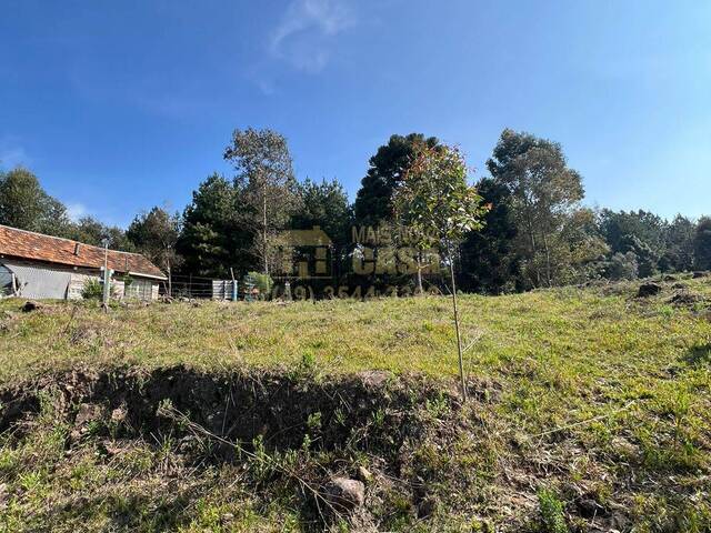 #58739903 - Área para Venda em Campos Novos - SC - 3