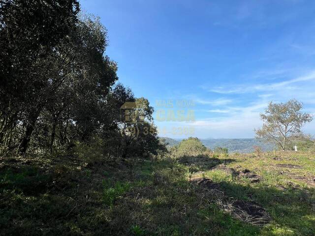 #58739903 - Área para Venda em Campos Novos - SC - 2