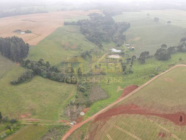 #58739926 - Chácara para Venda em Campos Novos - SC - 1