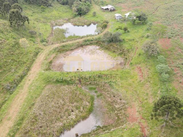 Chácara para Venda em Campos Novos - 4