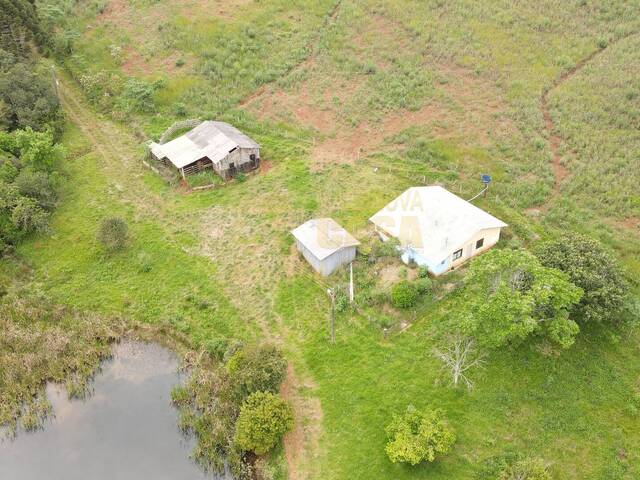 Chácara para Venda em Campos Novos - 5