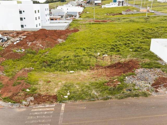 Área para Venda em Campos Novos - 5