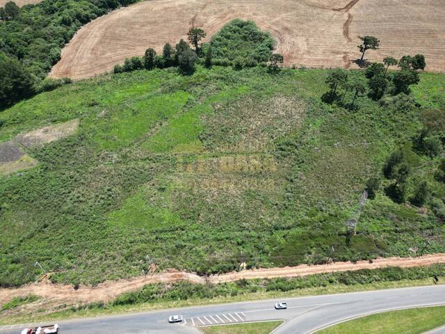 #58739915 - Área para Venda em Campos Novos - SC - 3