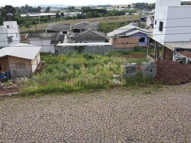 Área para Venda em Campos Novos - 4