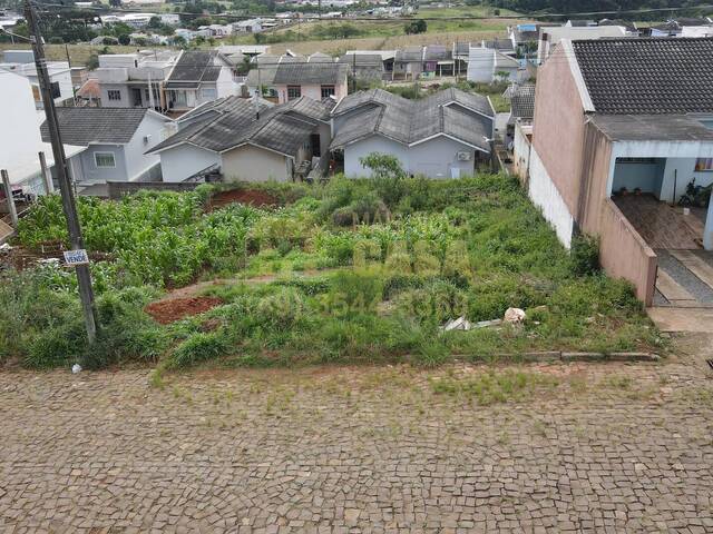 #58739815 - Área para Venda em Campos Novos - SC - 1