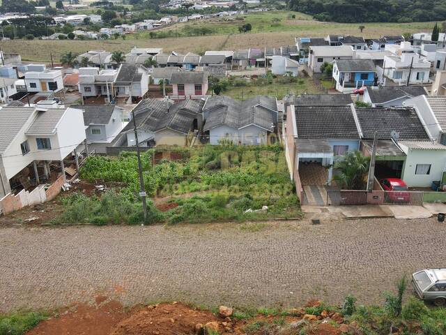 #58739815 - Área para Venda em Campos Novos - SC - 2