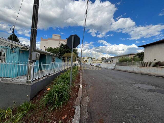 Casa para Locação em Campos Novos - 4