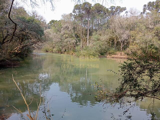 Área para Venda em Campos Novos - 5