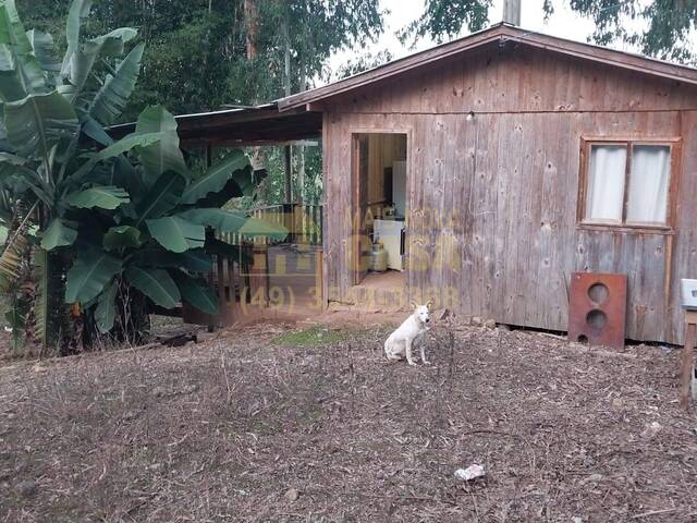 #58739999 - Chácara para Venda em Celso Ramos - SC - 2