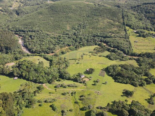 Área para Venda em Campos Novos - 4