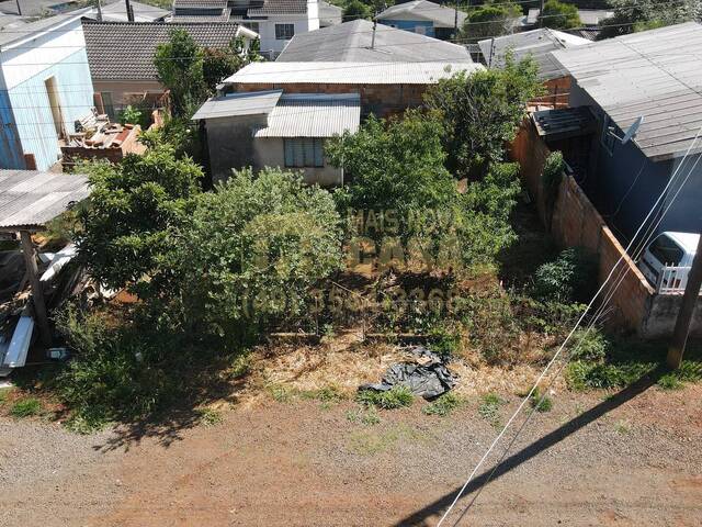 #58740034 - Área para Venda em Campos Novos - SC - 3