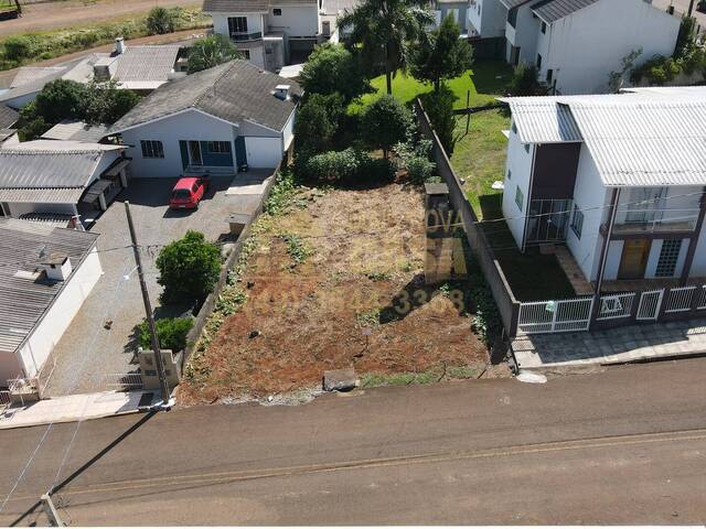 #58740030 - Área para Venda em Campos Novos - SC - 3
