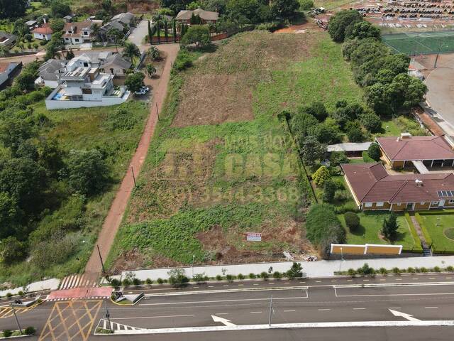 #58740054 - Área para Venda em Campos Novos - SC - 3