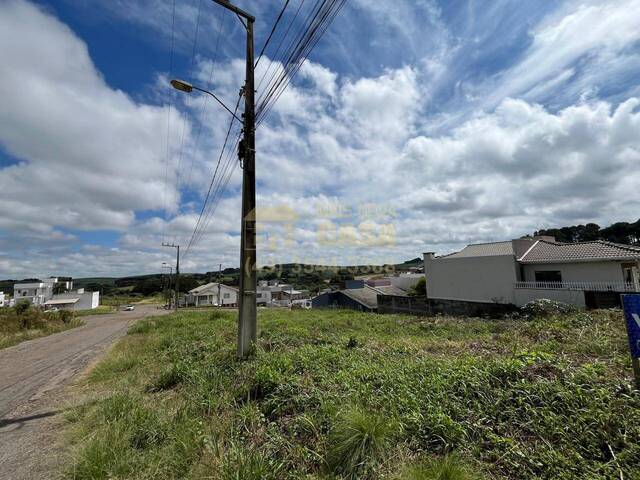 Área para Venda em Campos Novos - 4