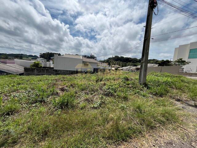 Área para Venda em Campos Novos - 5